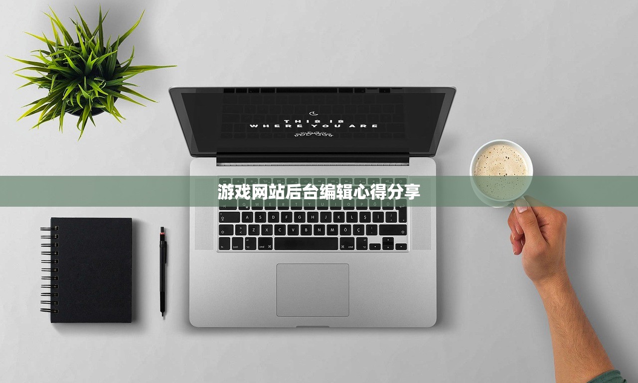 游戏网站后台编辑心得分享