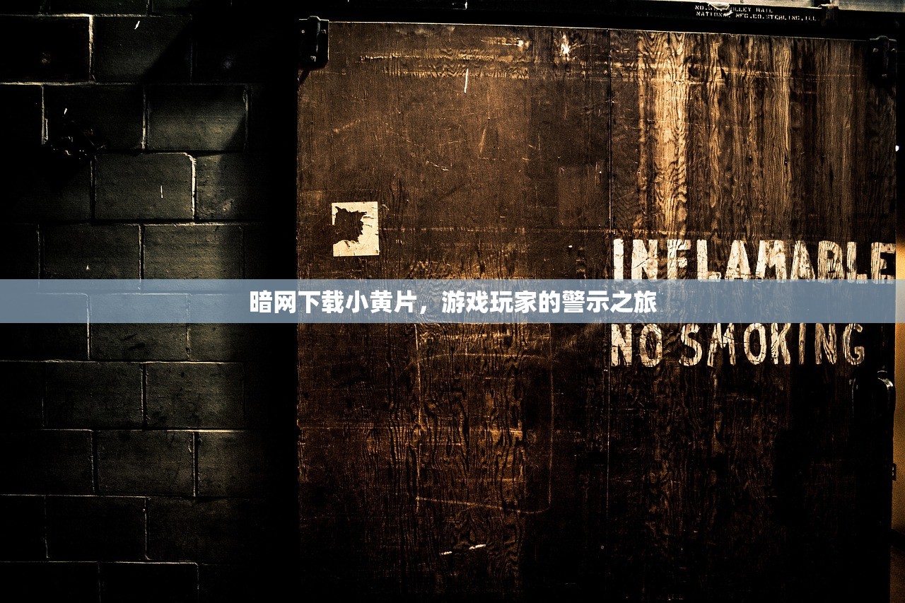 暗网下载小黄片，游戏玩家的警示之旅
