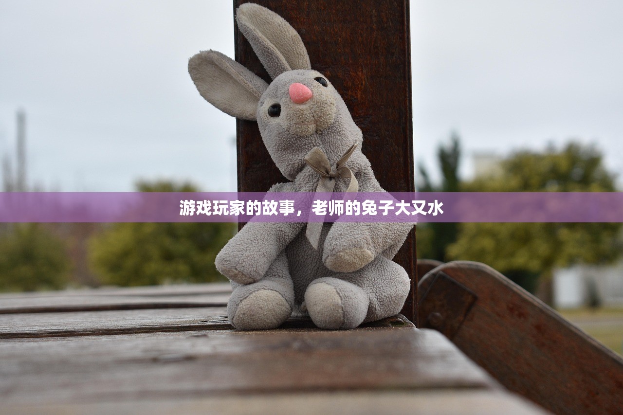 游戏玩家的故事，老师的兔子大又水