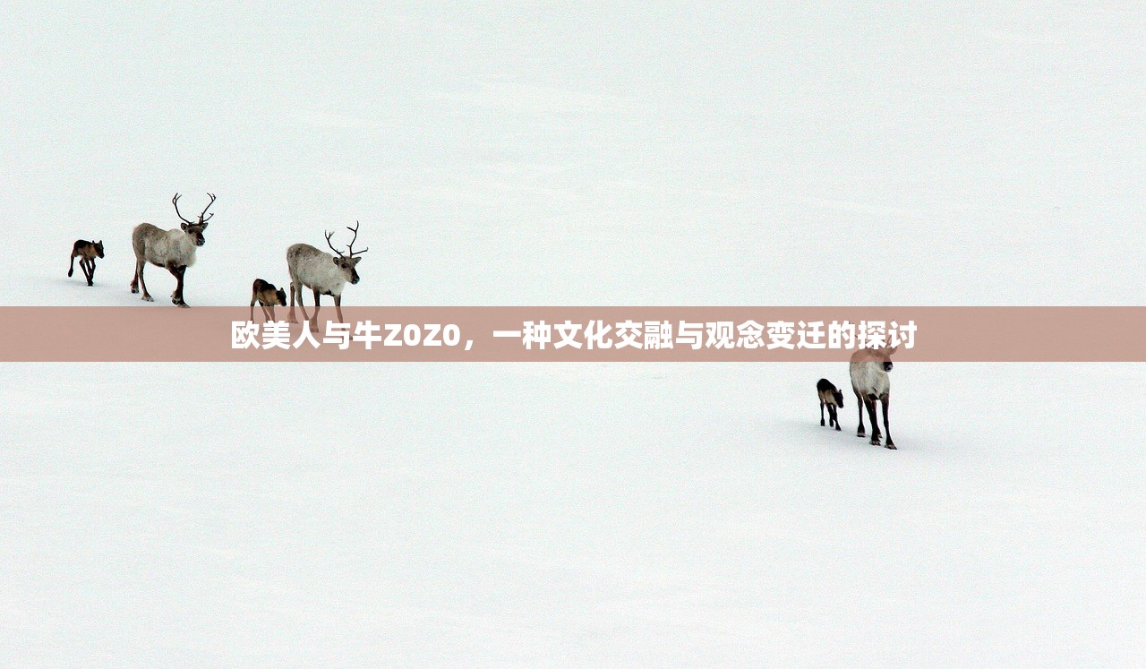 欧美人与牛Z0Z0，一种文化交融与观念变迁的探讨