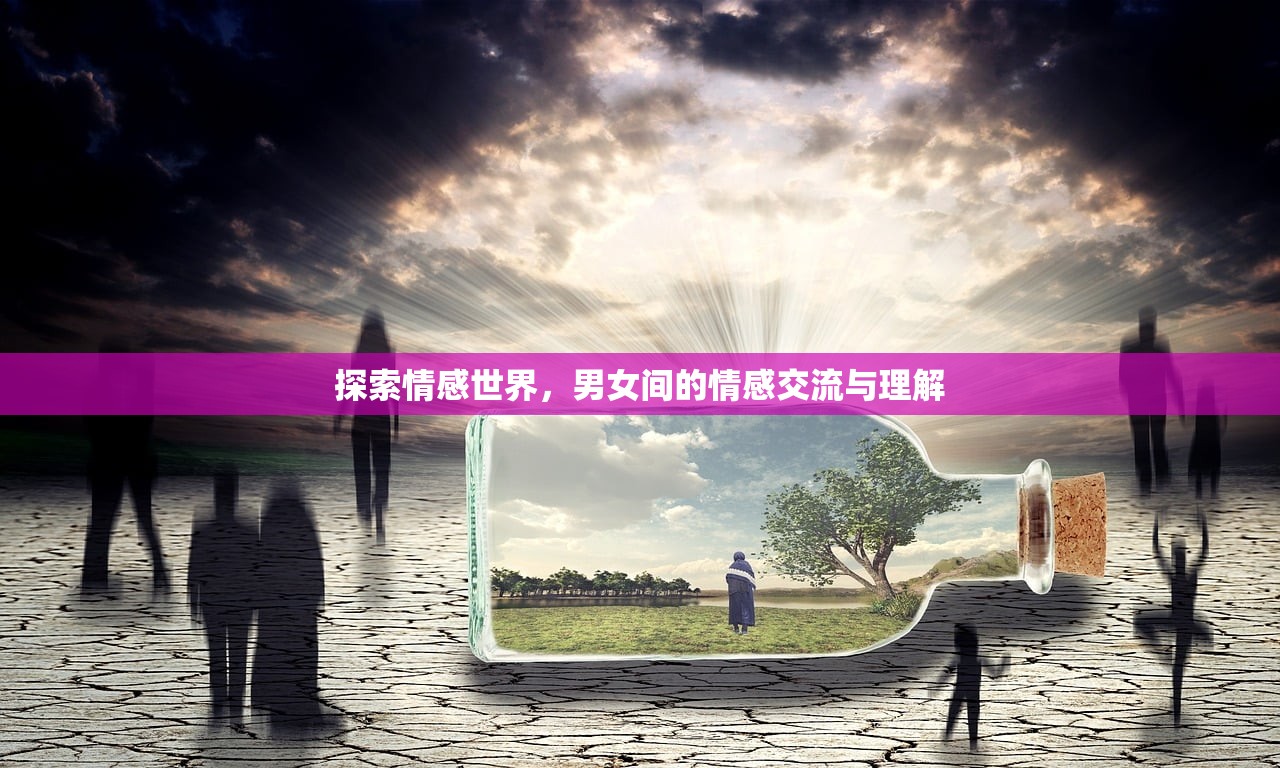 探索情感世界，男女间的情感交流与理解