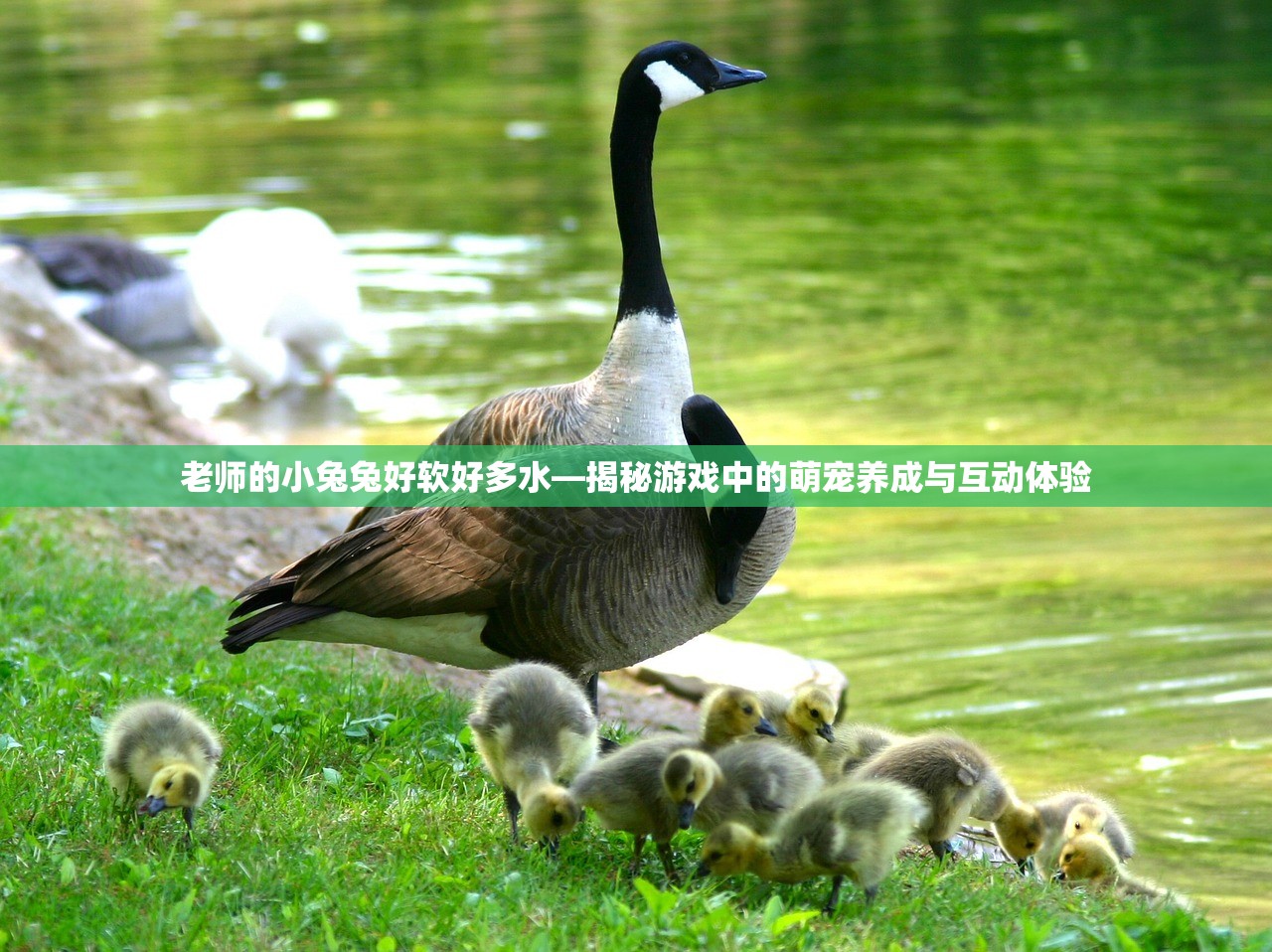 老师的小兔兔好软好多水—揭秘游戏中的萌宠养成与互动体验