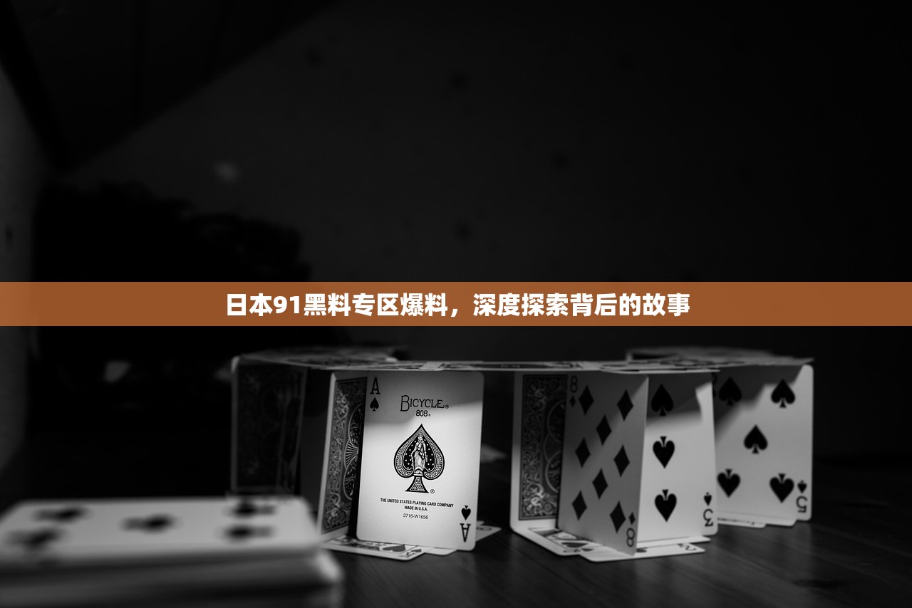 日本91黑料专区爆料，深度探索背后的故事