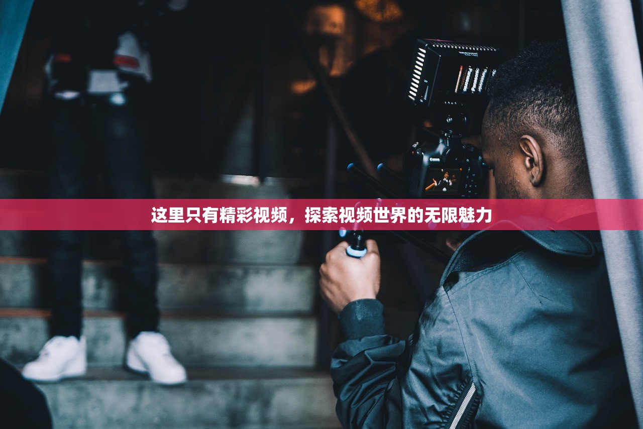 这里只有精彩视频，探索视频世界的无限魅力