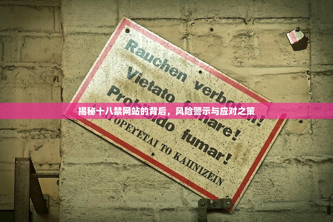揭秘十八禁网站的背后，风险警示与应对之策