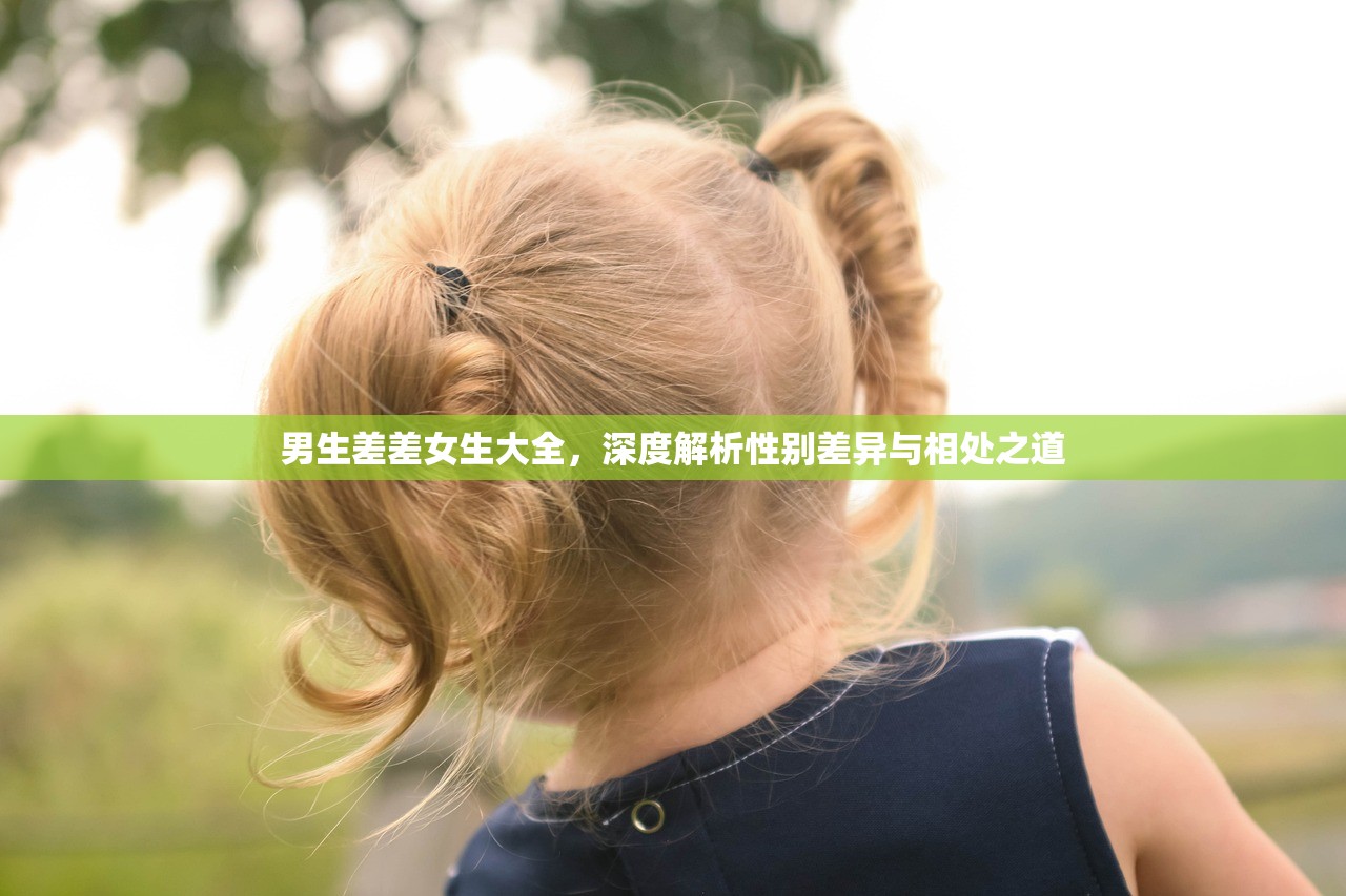 男生差差女生大全，深度解析性别差异与相处之道