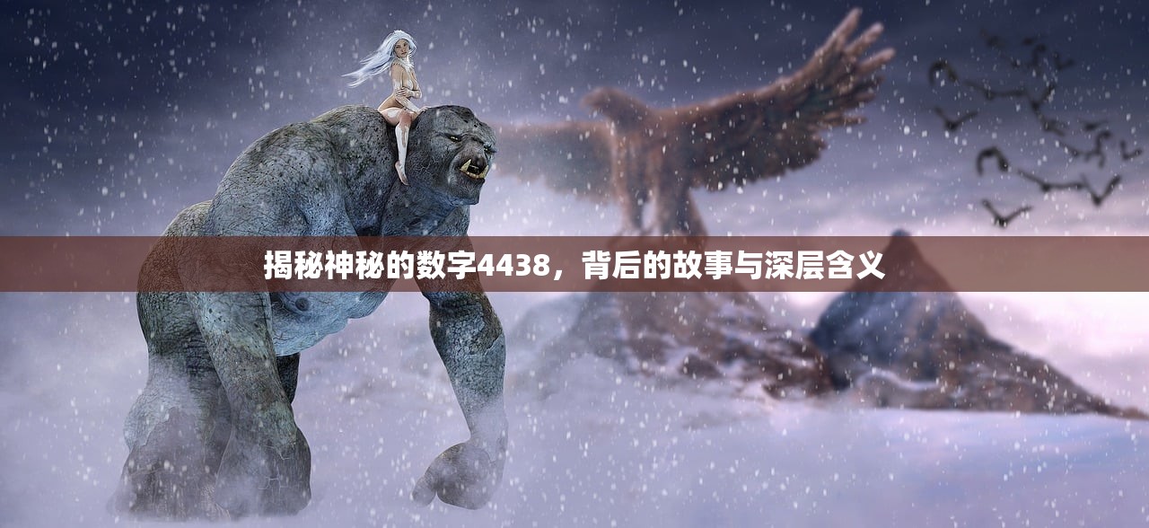 揭秘神秘的数字4438，背后的故事与深层含义