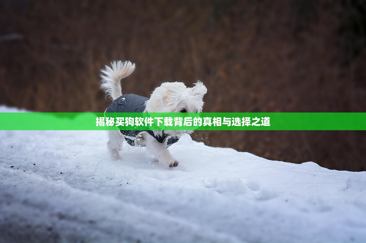 揭秘买狗软件下载背后的真相与选择之道