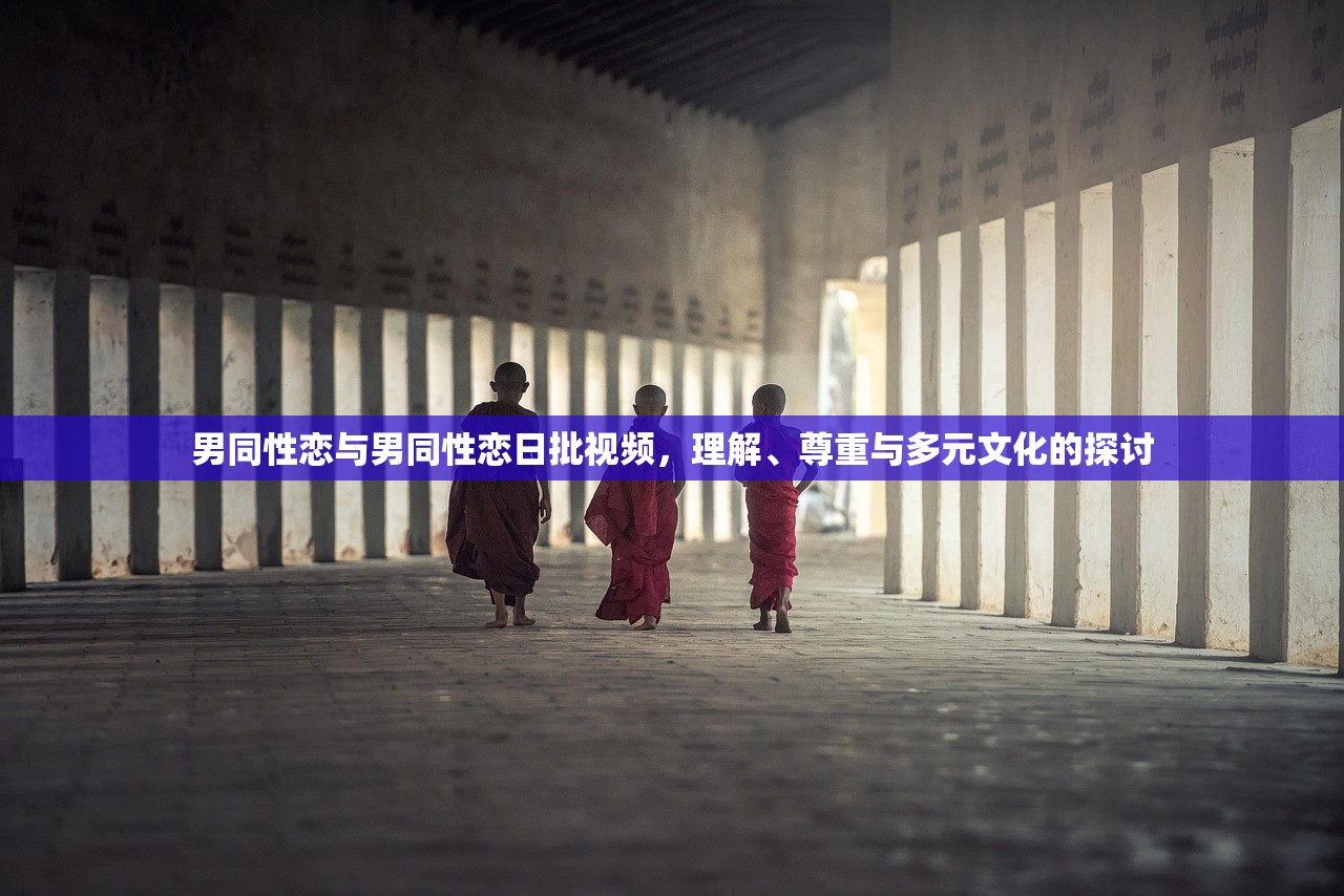 男同性恋与男同性恋日批视频，理解、尊重与多元文化的探讨