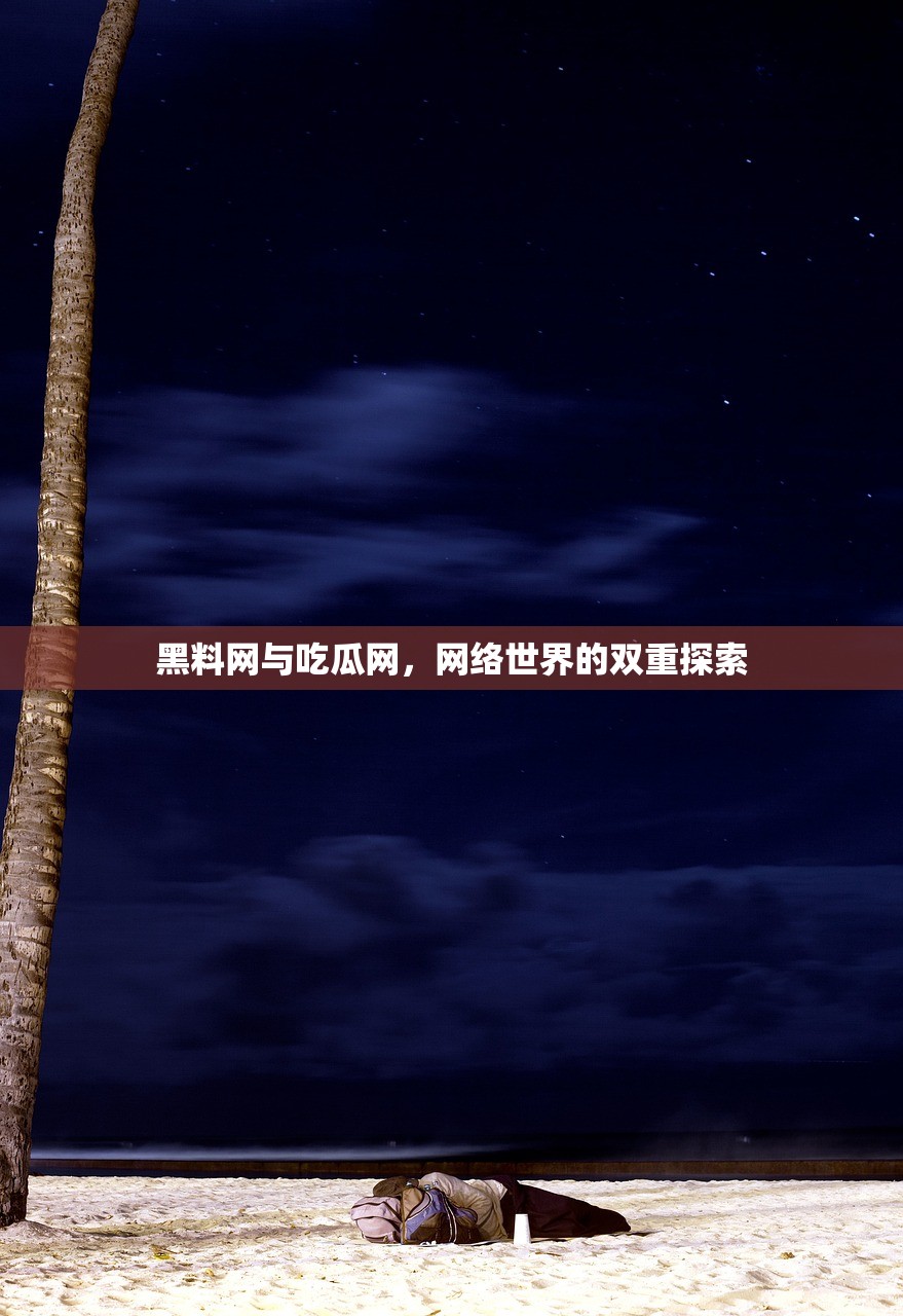 黑料网与吃瓜网，网络世界的双重探索