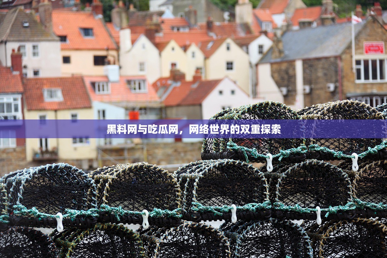 黑料网与吃瓜网，网络世界的双重探索