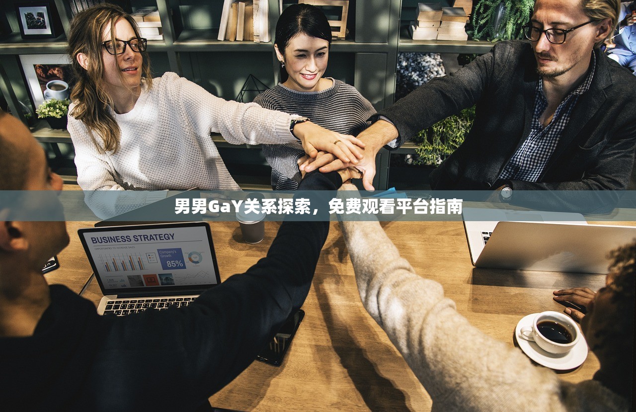 男男GaY关系探索，免费观看平台指南