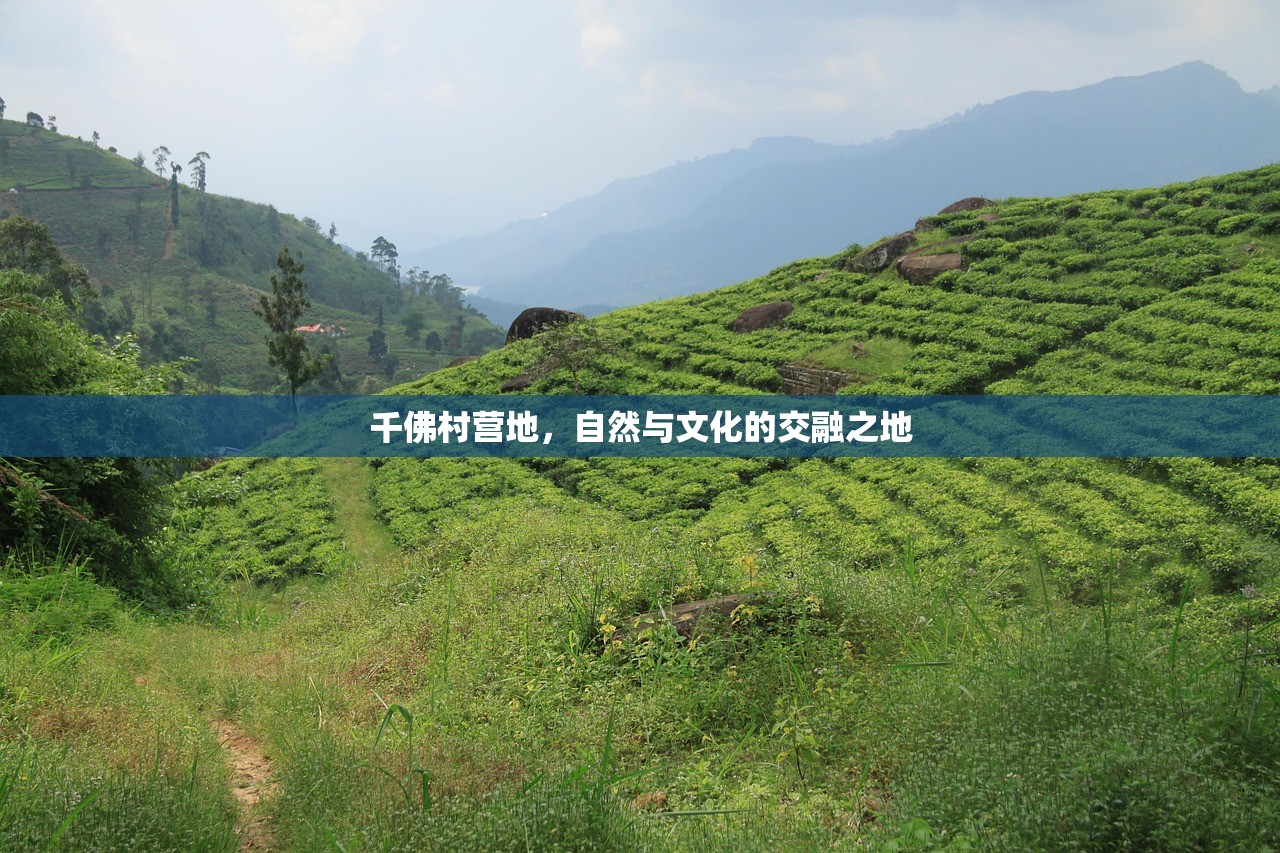 千佛村营地，自然与文化的交融之地