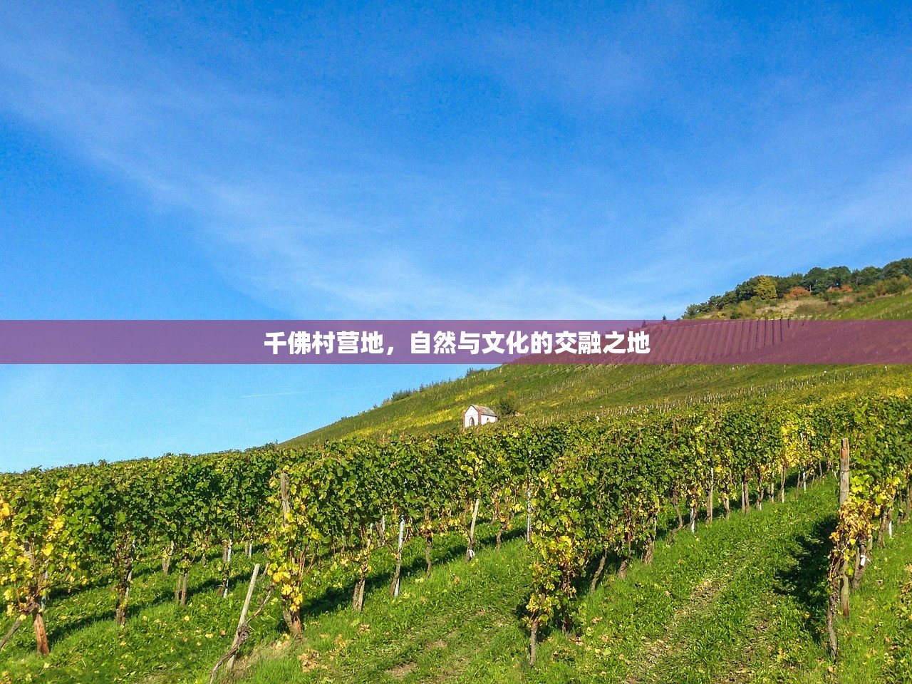 千佛村营地，自然与文化的交融之地