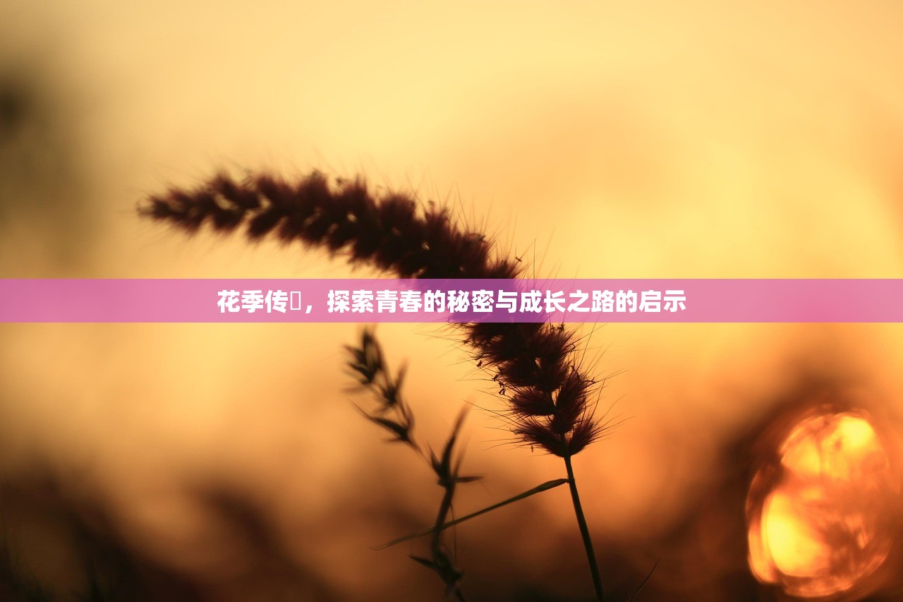 花季传禖，探索青春的秘密与成长之路的启示