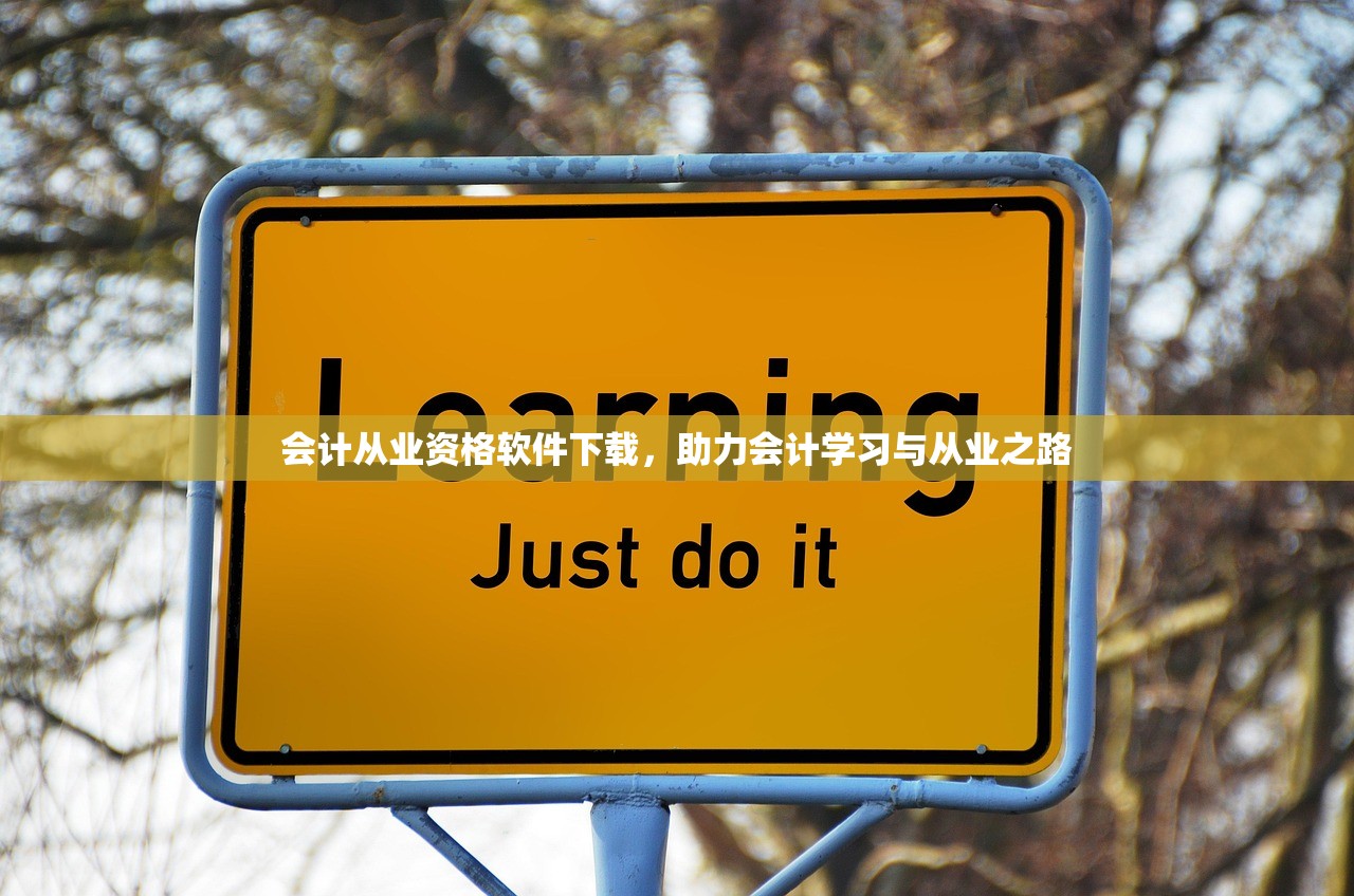 会计从业资格软件下载，助力会计学习与从业之路