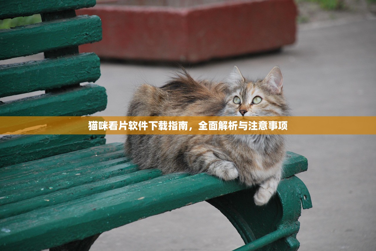 猫咪看片软件下载指南，全面解析与注意事项