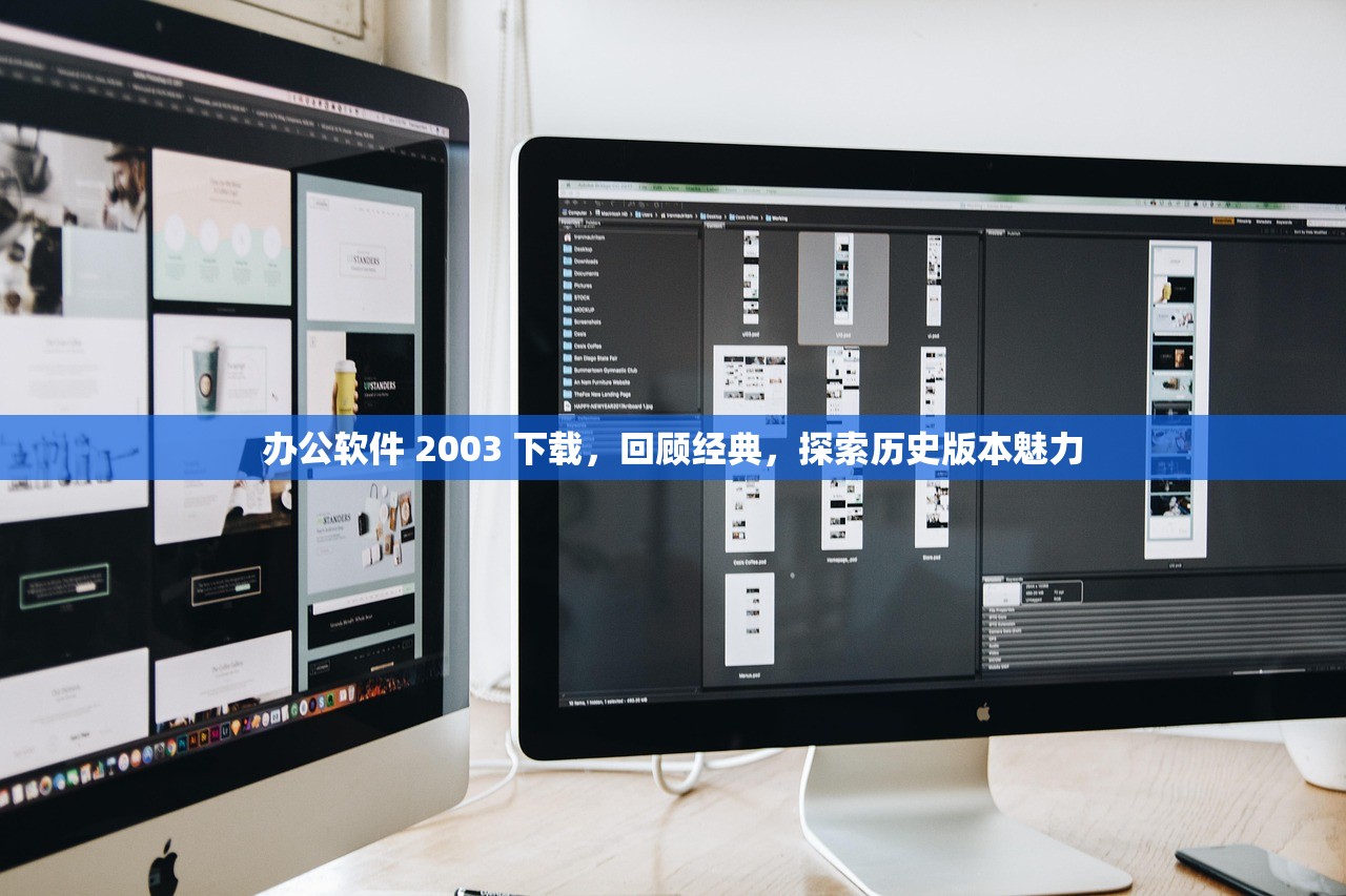 办公软件 2003 下载，回顾经典，探索历史版本魅力