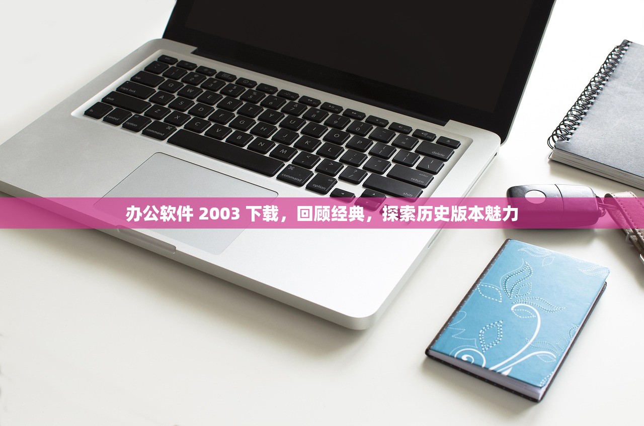 办公软件 2003 下载，回顾经典，探索历史版本魅力