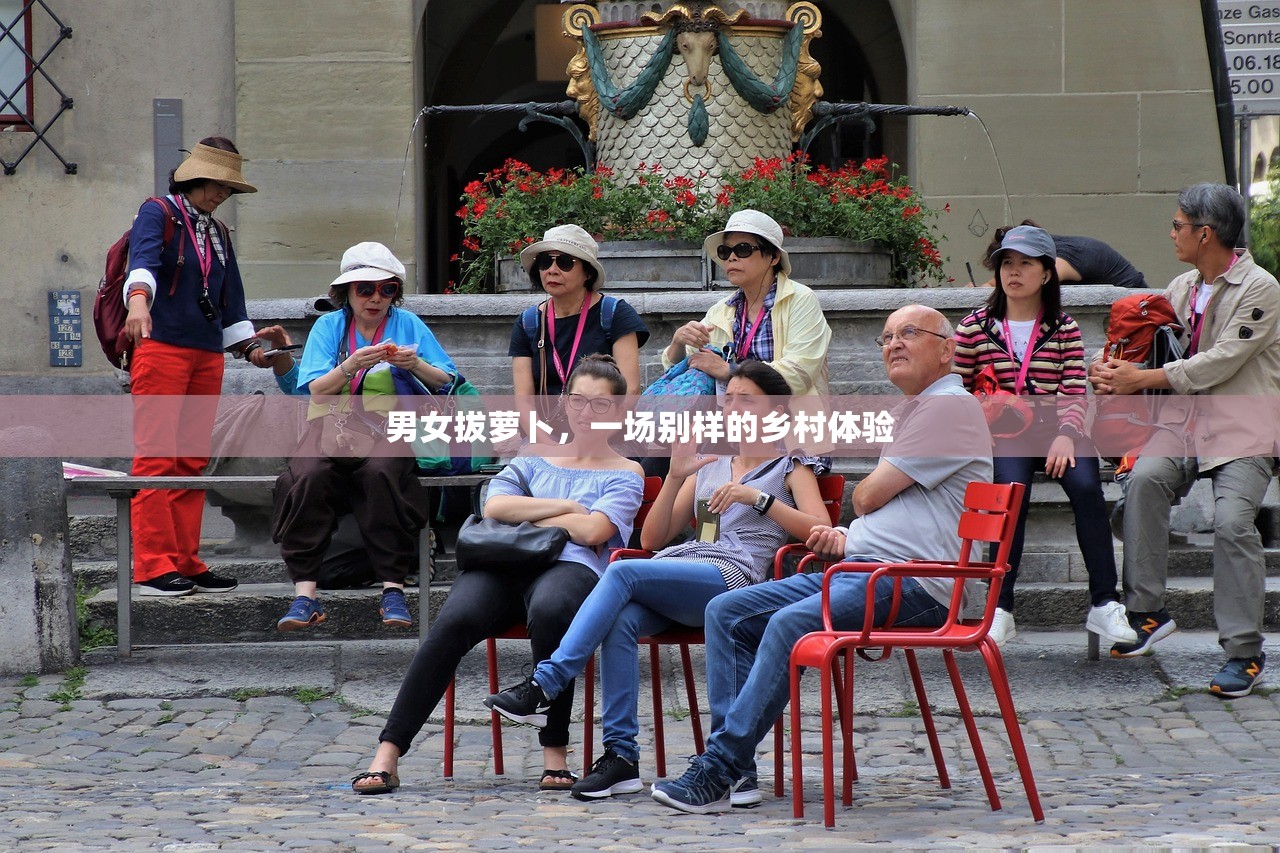 男女拔萝卜，一场别样的乡村体验