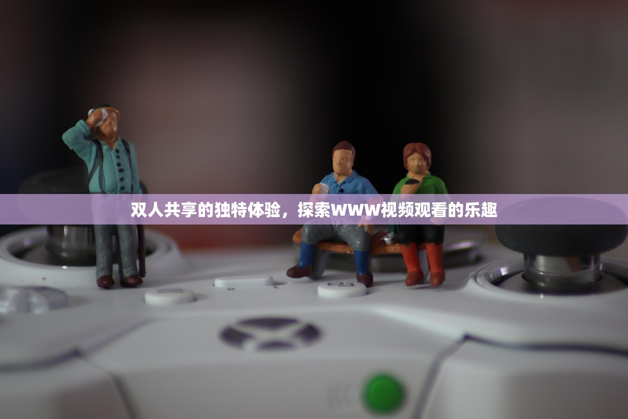 双人共享的独特体验，探索WWW视频观看的乐趣