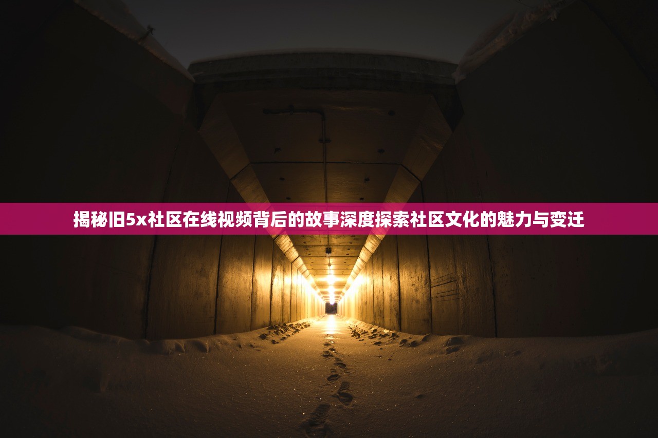 揭秘旧5x社区在线视频背后的故事深度探索社区文化的魅力与变迁