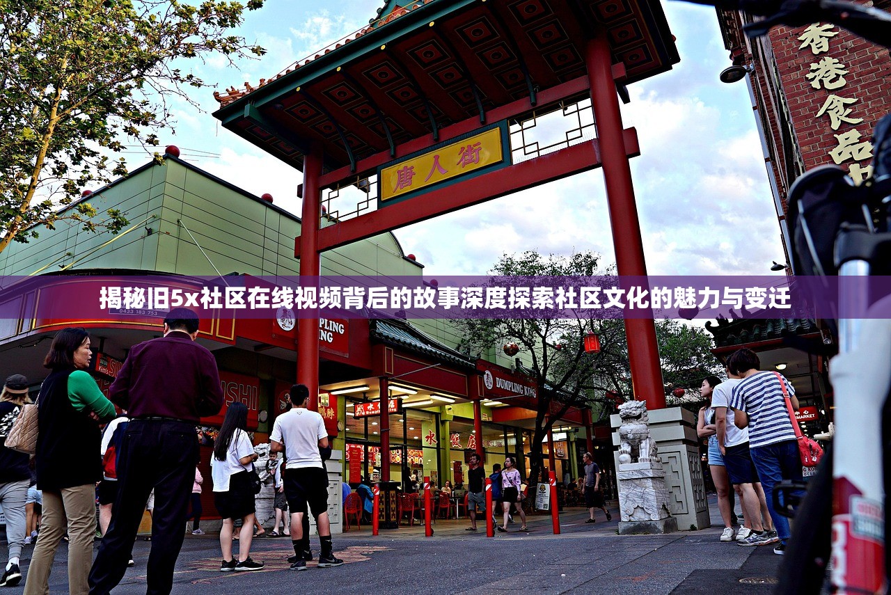 揭秘旧5x社区在线视频背后的故事深度探索社区文化的魅力与变迁