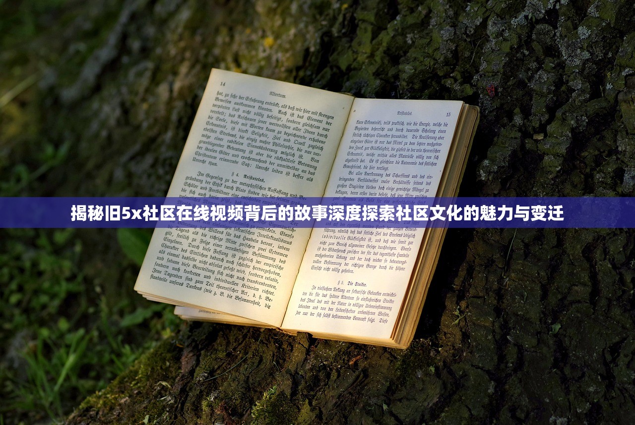 揭秘旧5x社区在线视频背后的故事深度探索社区文化的魅力与变迁