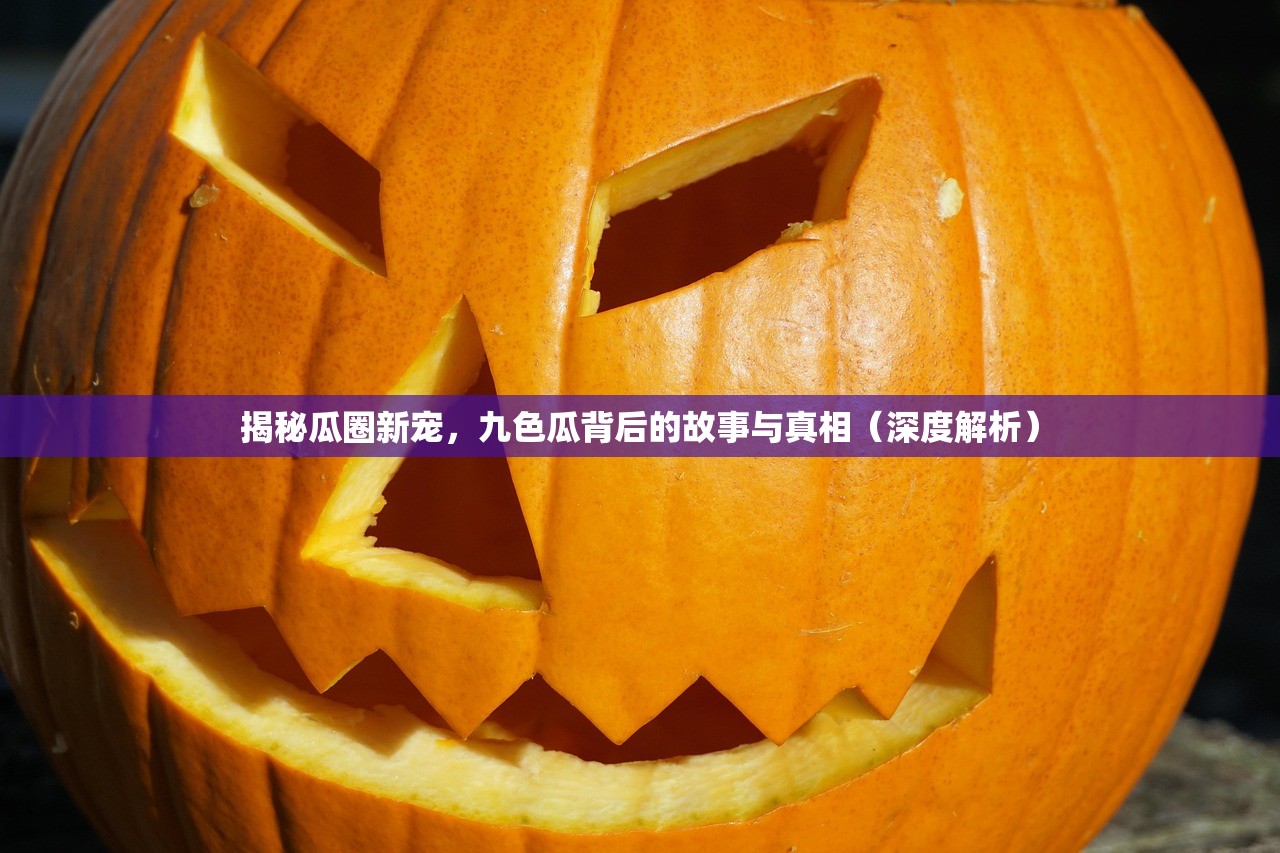 揭秘瓜圈新宠，九色瓜背后的故事与真相（深度解析）