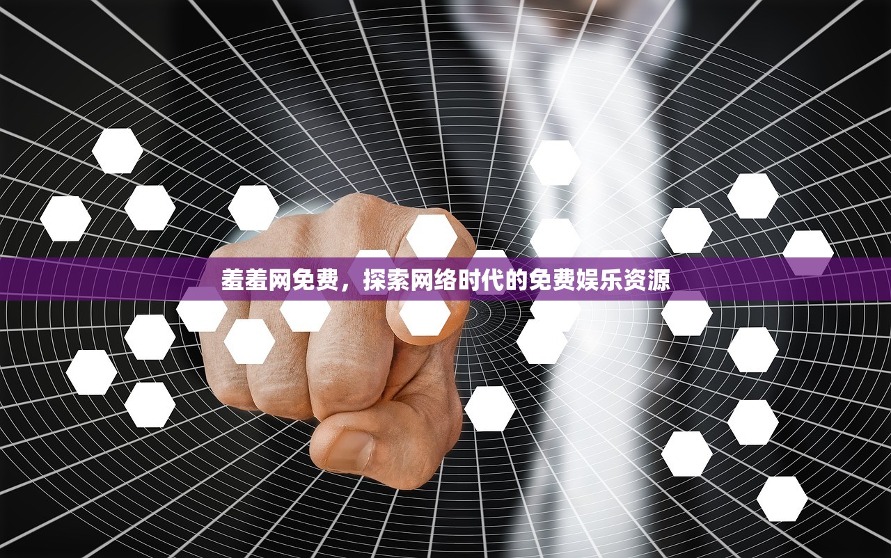 羞羞网免费，探索网络时代的免费娱乐资源