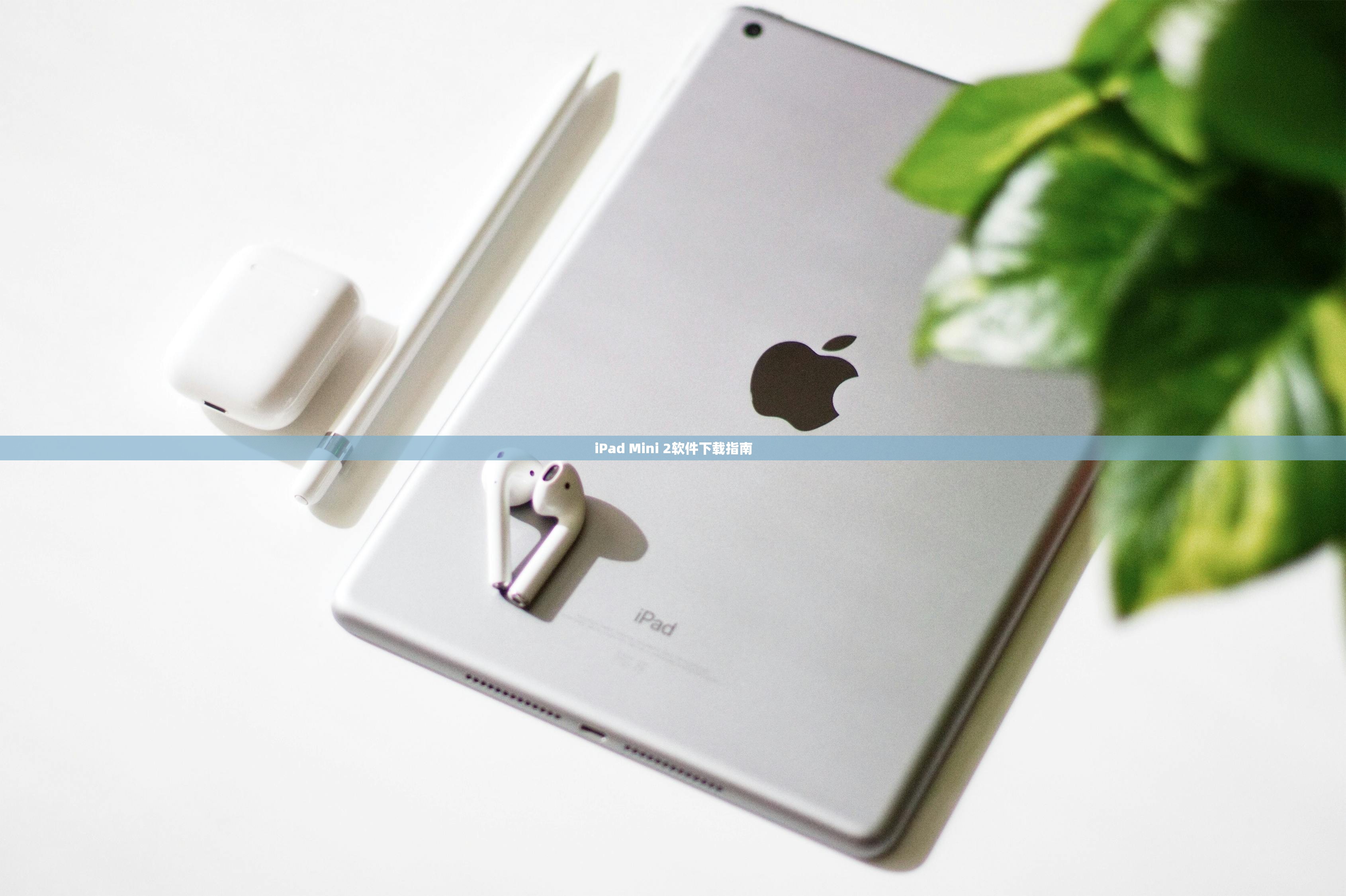 iPad Mini 2软件下载指南