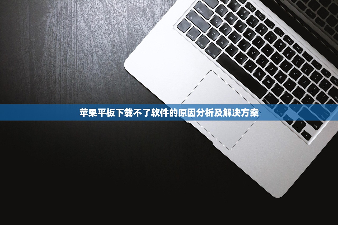 苹果平板下载不了软件的原因分析及解决方案