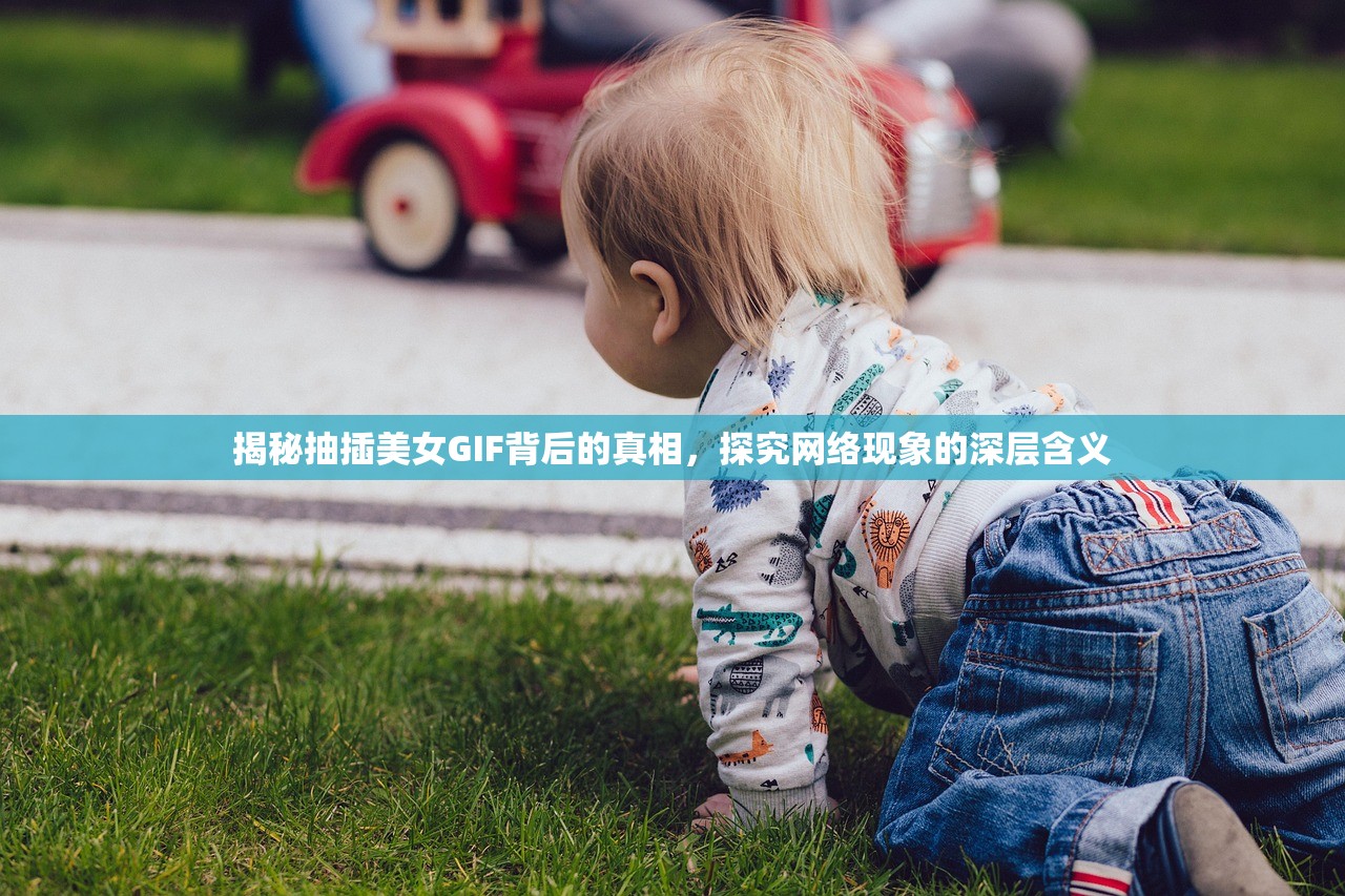揭秘抽插美女GIF背后的真相，探究网络现象的深层含义