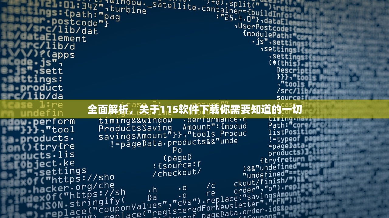 全面解析，关于115软件下载你需要知道的一切