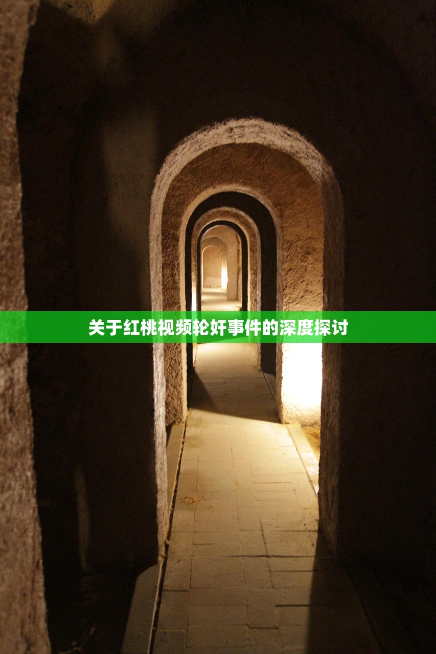 关于红桃视频轮奸事件的深度探讨