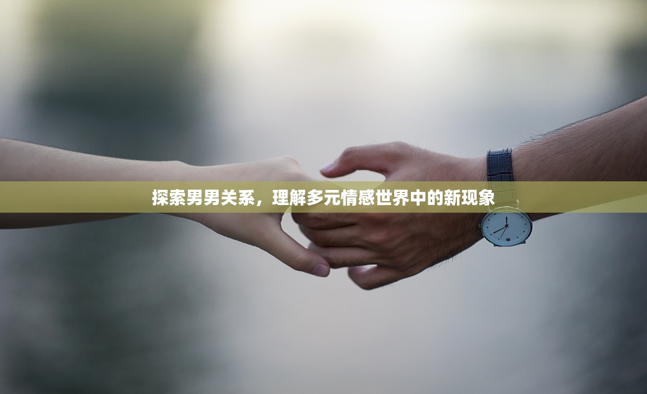 探索男男关系，理解多元情感世界中的新现象