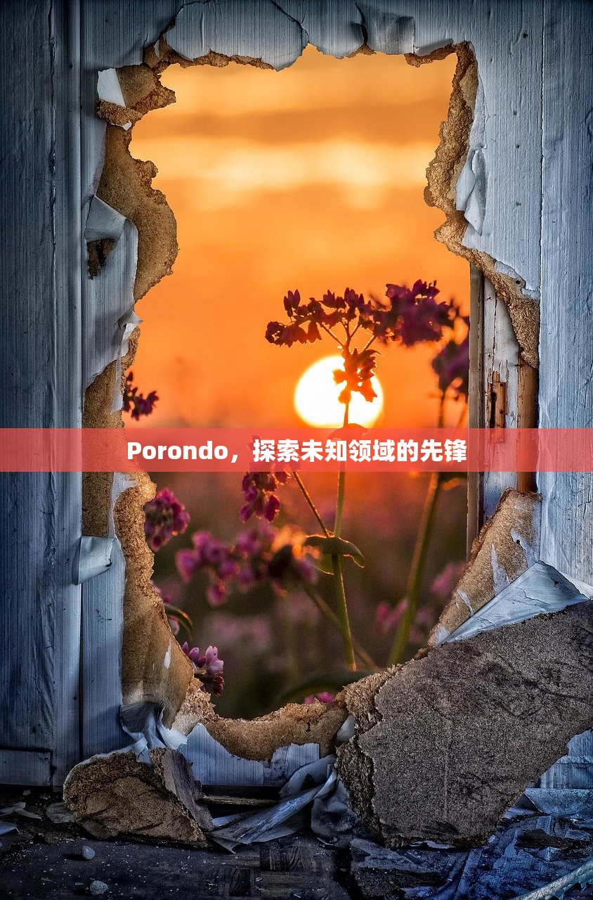 Porondo，探索未知领域的先锋