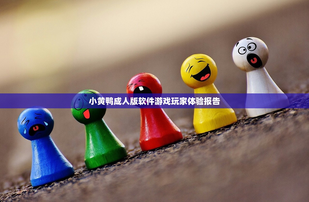 小黄鸭成人版软件游戏玩家体验报告