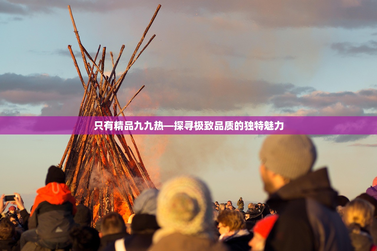 只有精品九九热—探寻极致品质的独特魅力