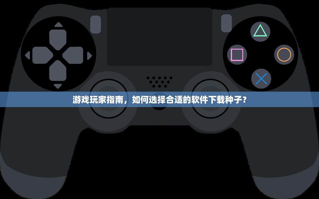 游戏玩家指南，如何选择合适的软件下载种子？