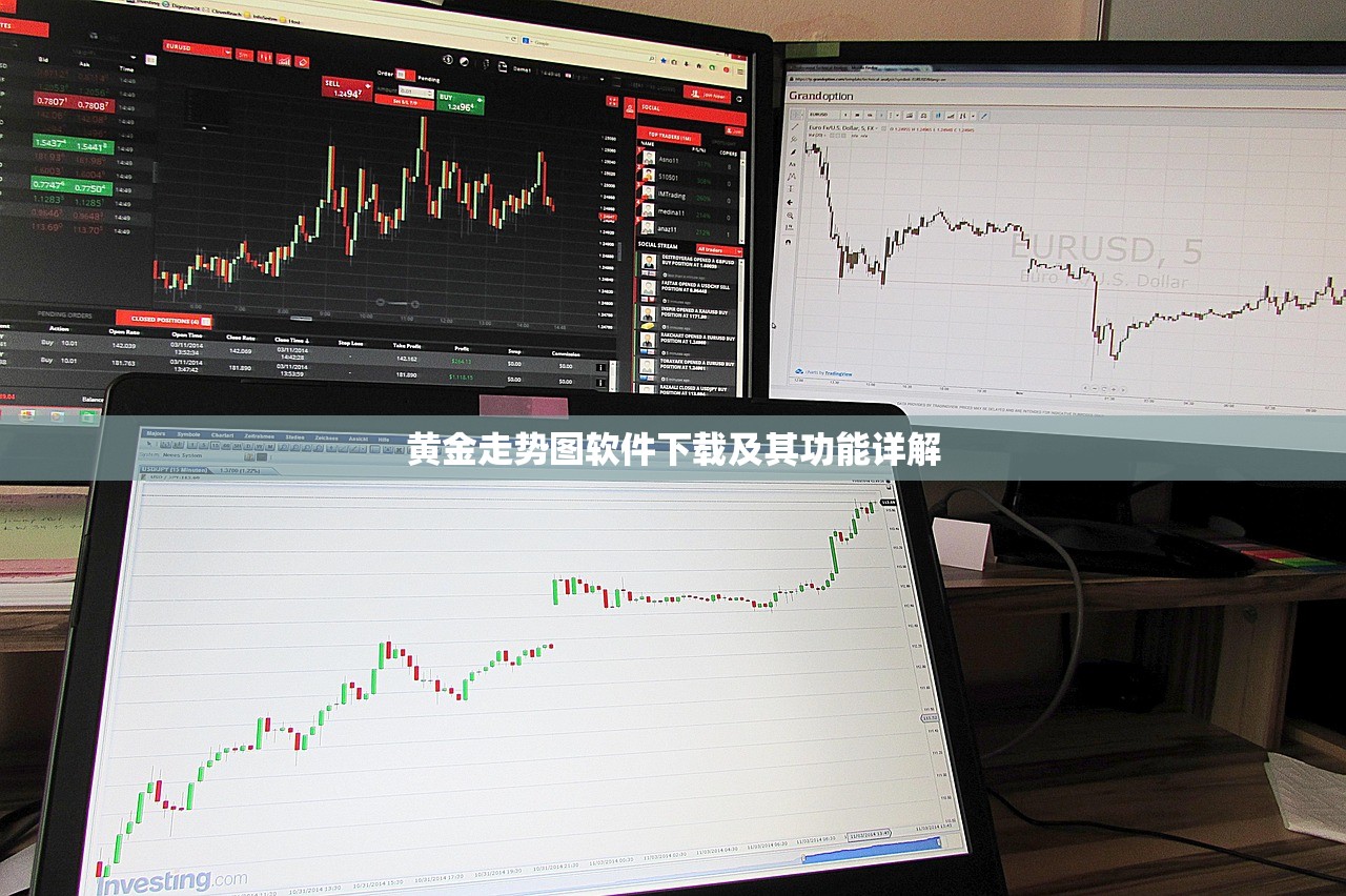 黄金走势图软件下载及其功能详解