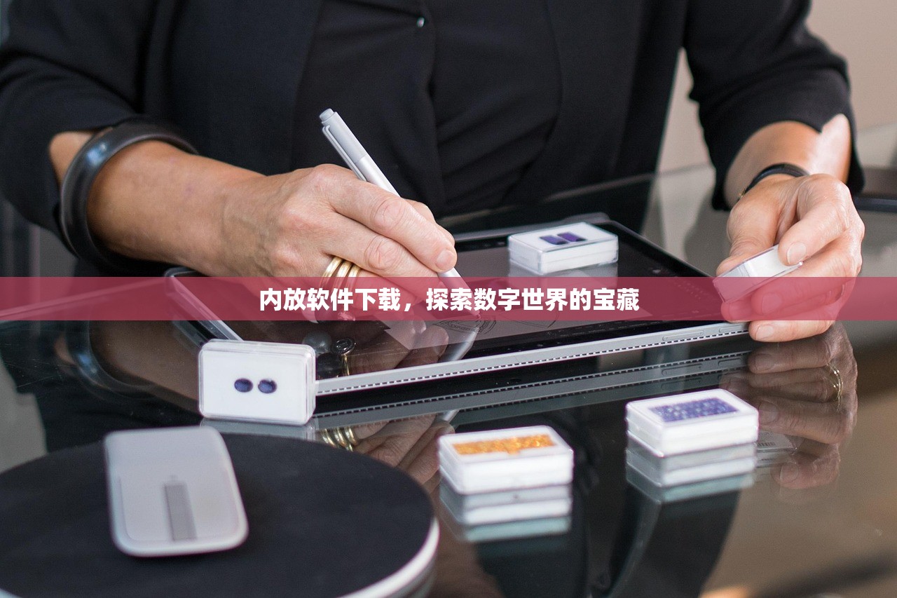 内放软件下载，探索数字世界的宝藏