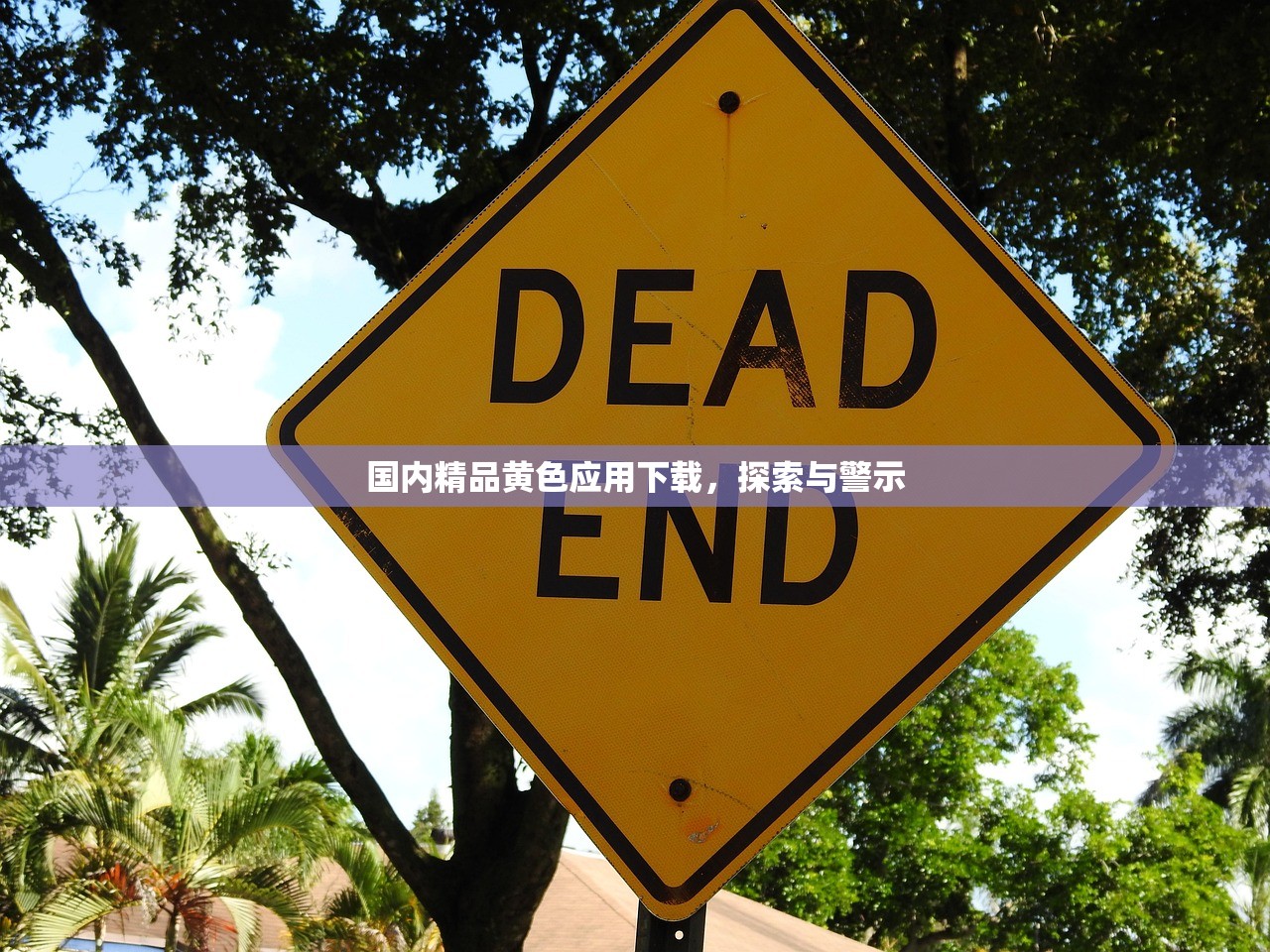 国内精品黄色应用下载，探索与警示