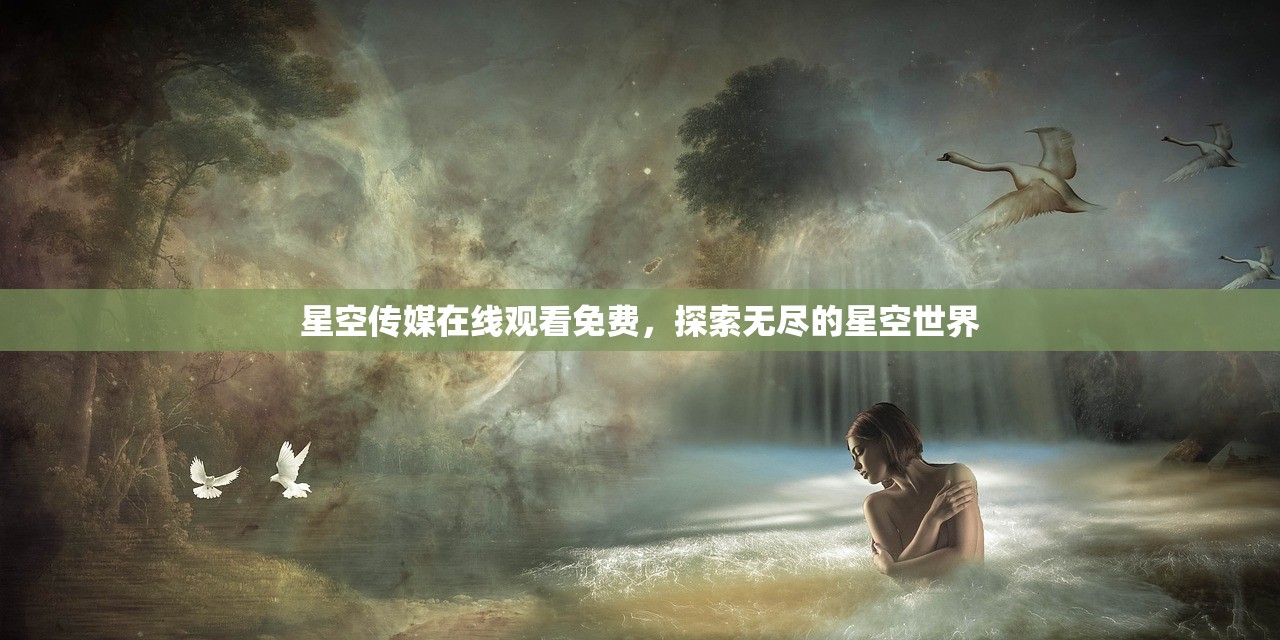 星空传媒在线观看免费，探索无尽的星空世界