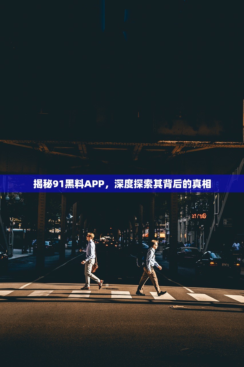揭秘91黑料APP，深度探索其背后的真相