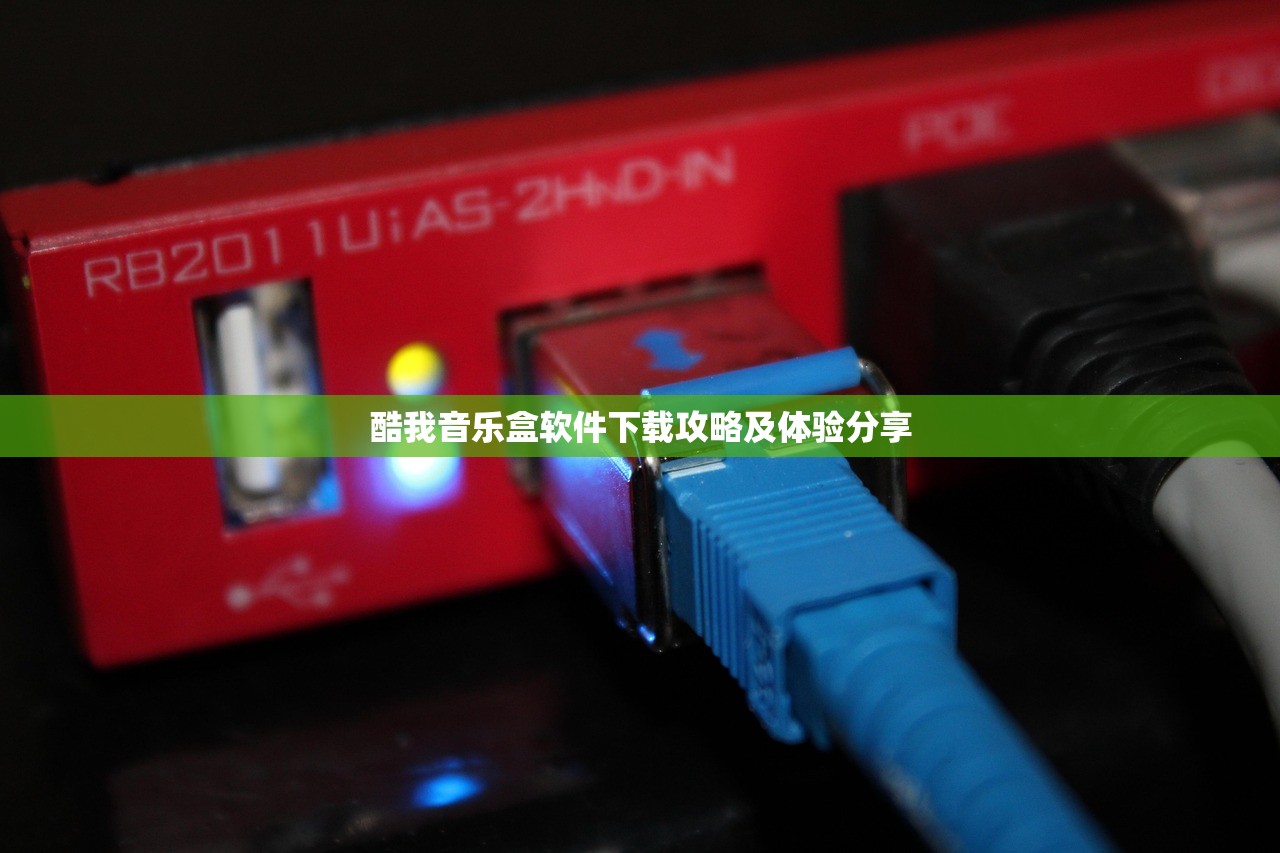 酷我音乐盒软件下载攻略及体验分享