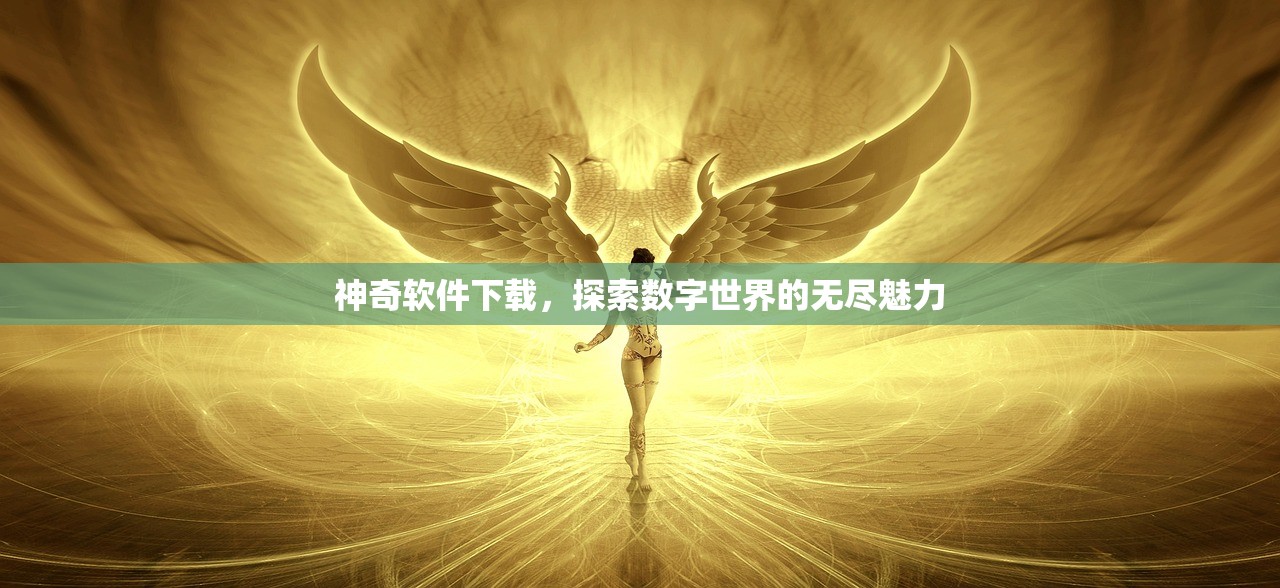 神奇软件下载，探索数字世界的无尽魅力