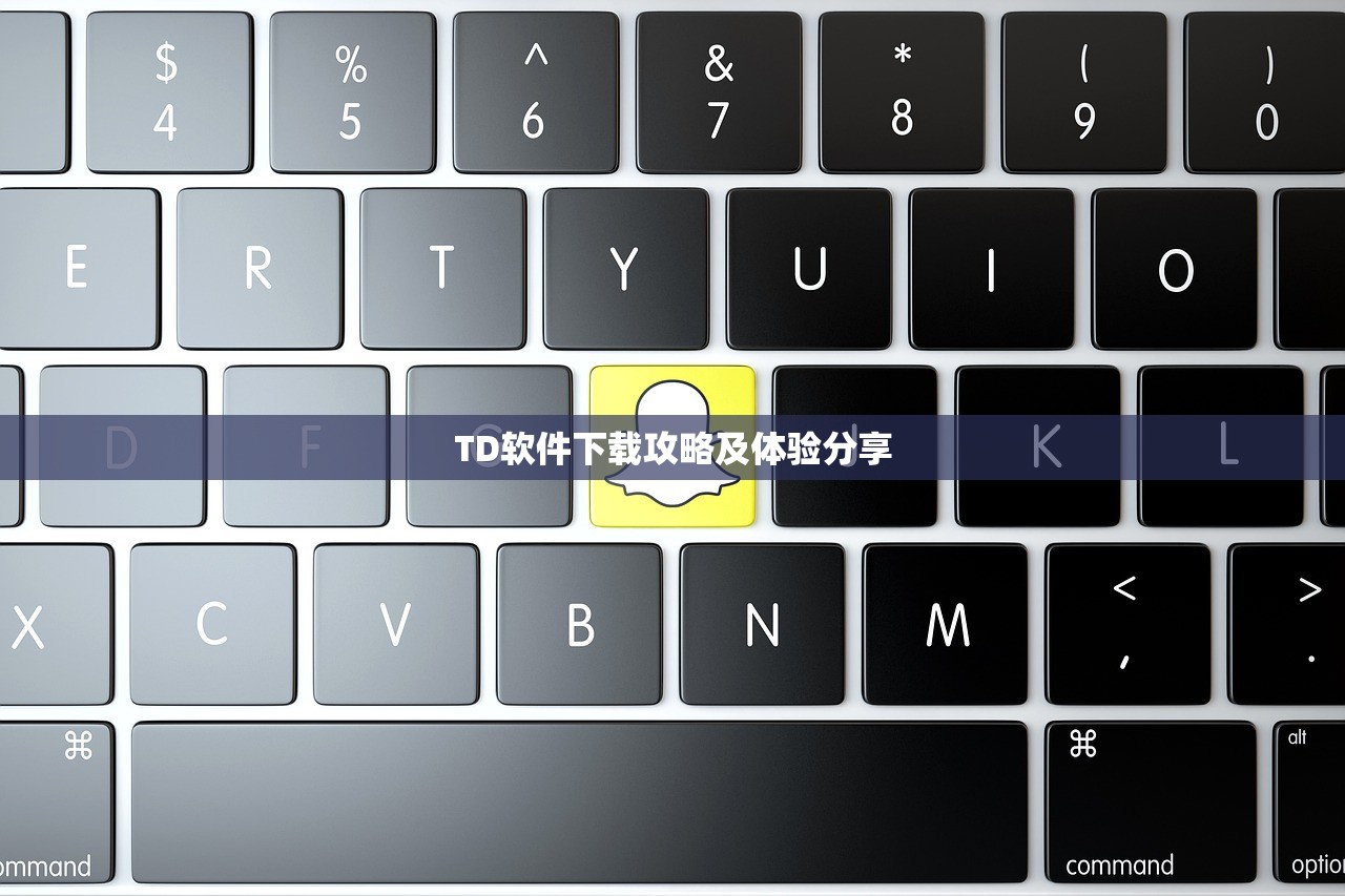 TD软件下载攻略及体验分享