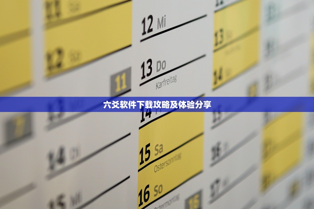 六爻软件下载攻略及体验分享