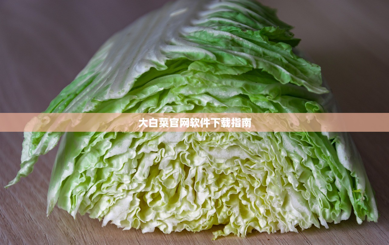 大白菜官网软件下载指南